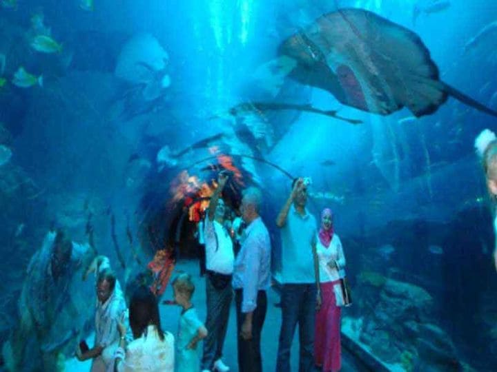Dubai Package