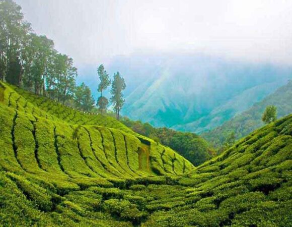 Kerala Package - 3 Nights & 4 Days