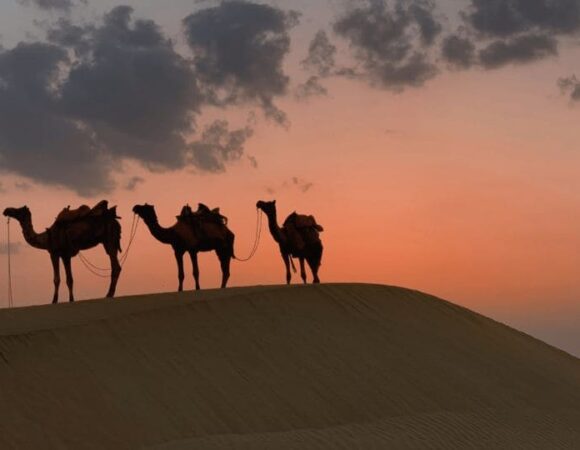 Rajasthan Package from Bangalore - 5 Days