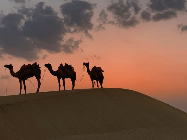 Rajasthan Package from Bangalore - 5 Days