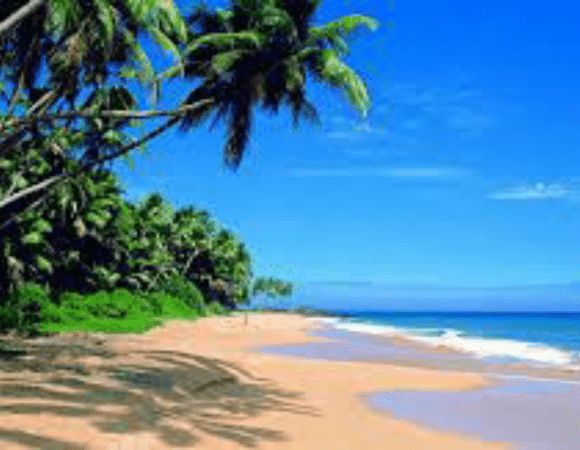 Srilanka Package - 7 Nights & 8 Days
